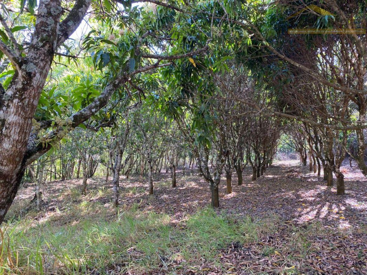 WhatsApp Image 2022-08-18 at 16.42.39 (1).jpeg